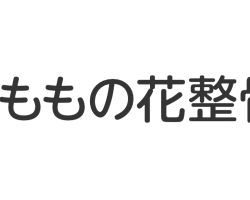 ももの花整骨院